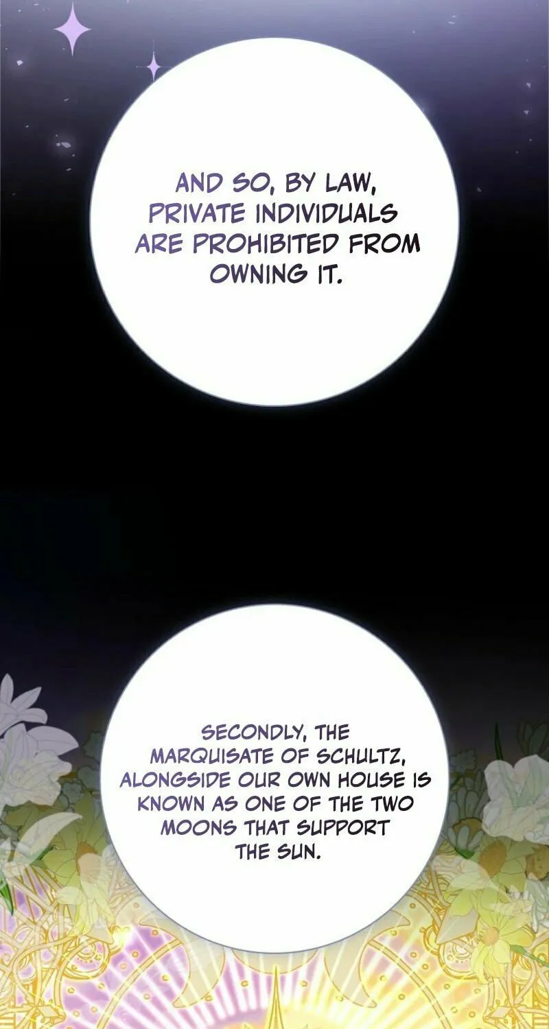 My Contract Husband Resembles the Male Protagonist Chapter 25 page 64 - 