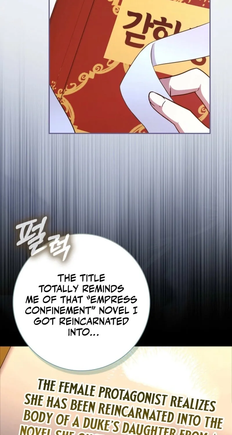 My Contract Husband Resembles the Male Protagonist Chapter 27 page 108 - 