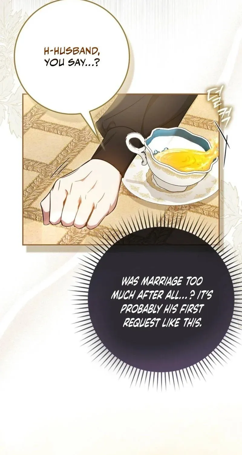 My Contract Husband Resembles the Male Protagonist Chapter 3 page 20 - 