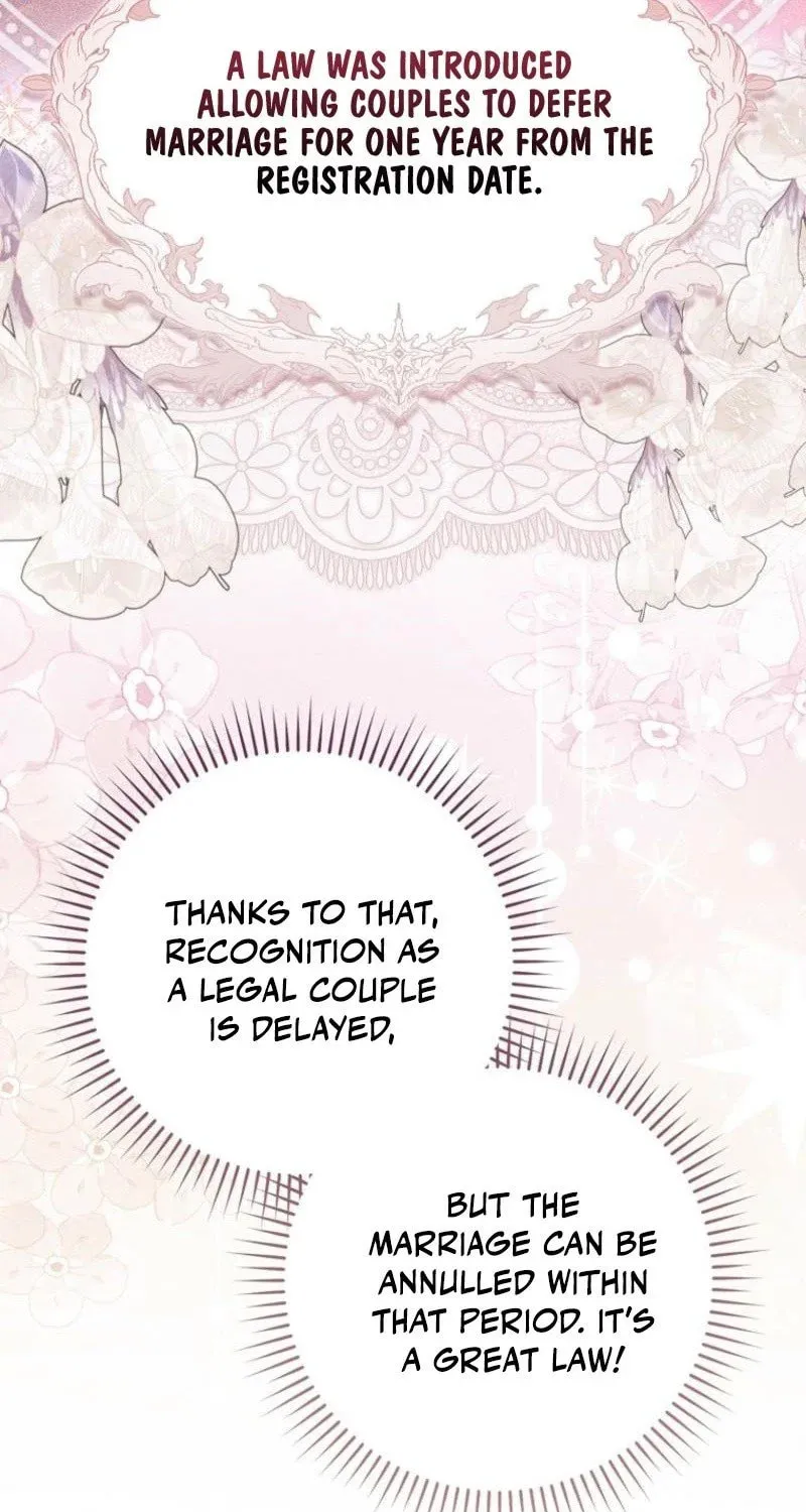 My Contract Husband Resembles the Male Protagonist Chapter 3 page 26 - 