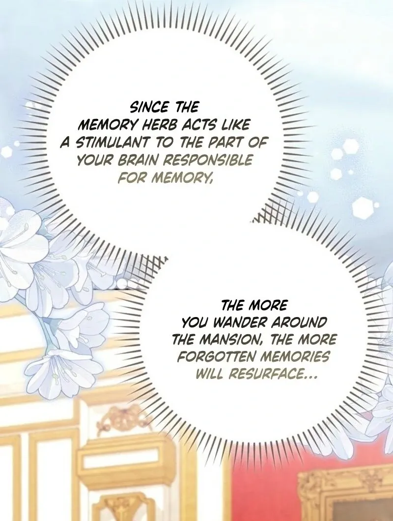 My Contract Husband Resembles the Male Protagonist Chapter 31 page 121 - 