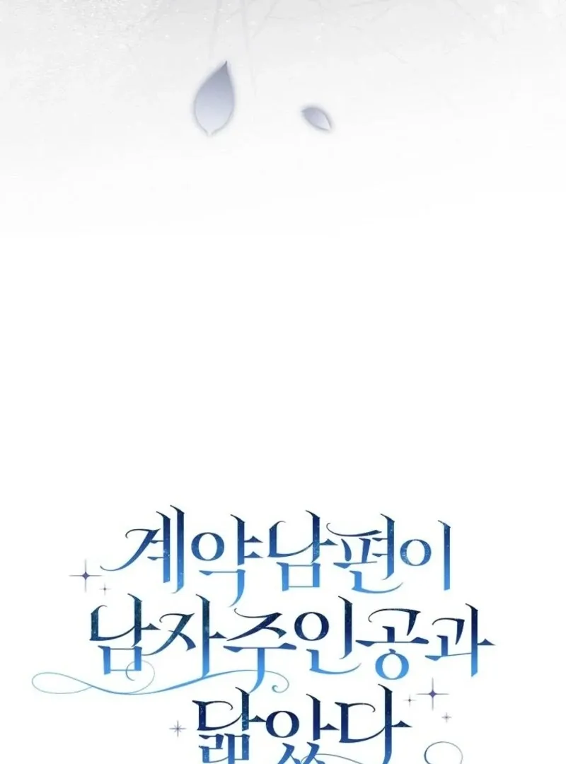 My Contract Husband Resembles the Male Protagonist Chapter 31 page 47 - 