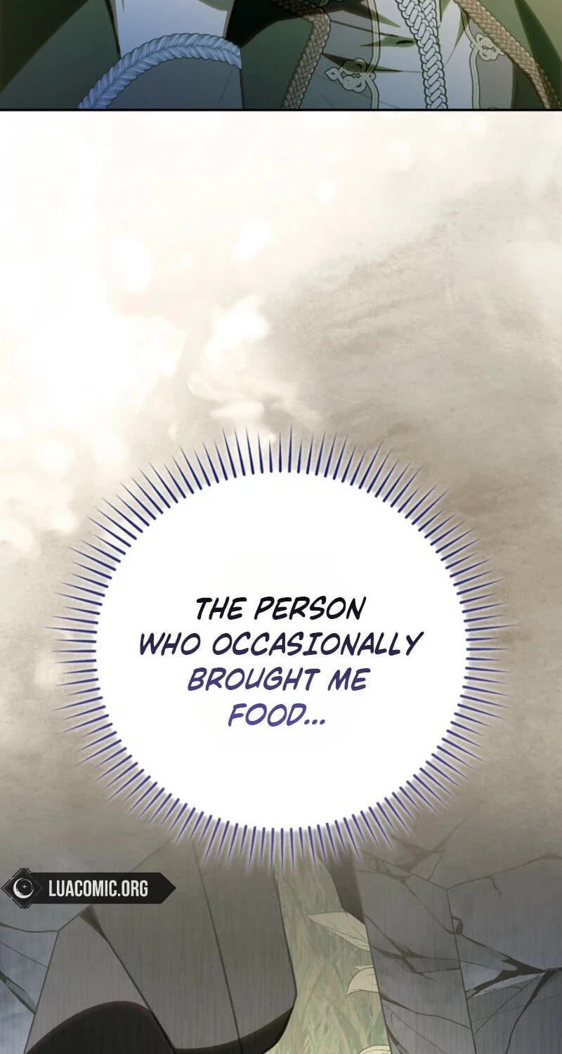 My Contract Husband Resembles the Male Protagonist Chapter 54 page 70 - 