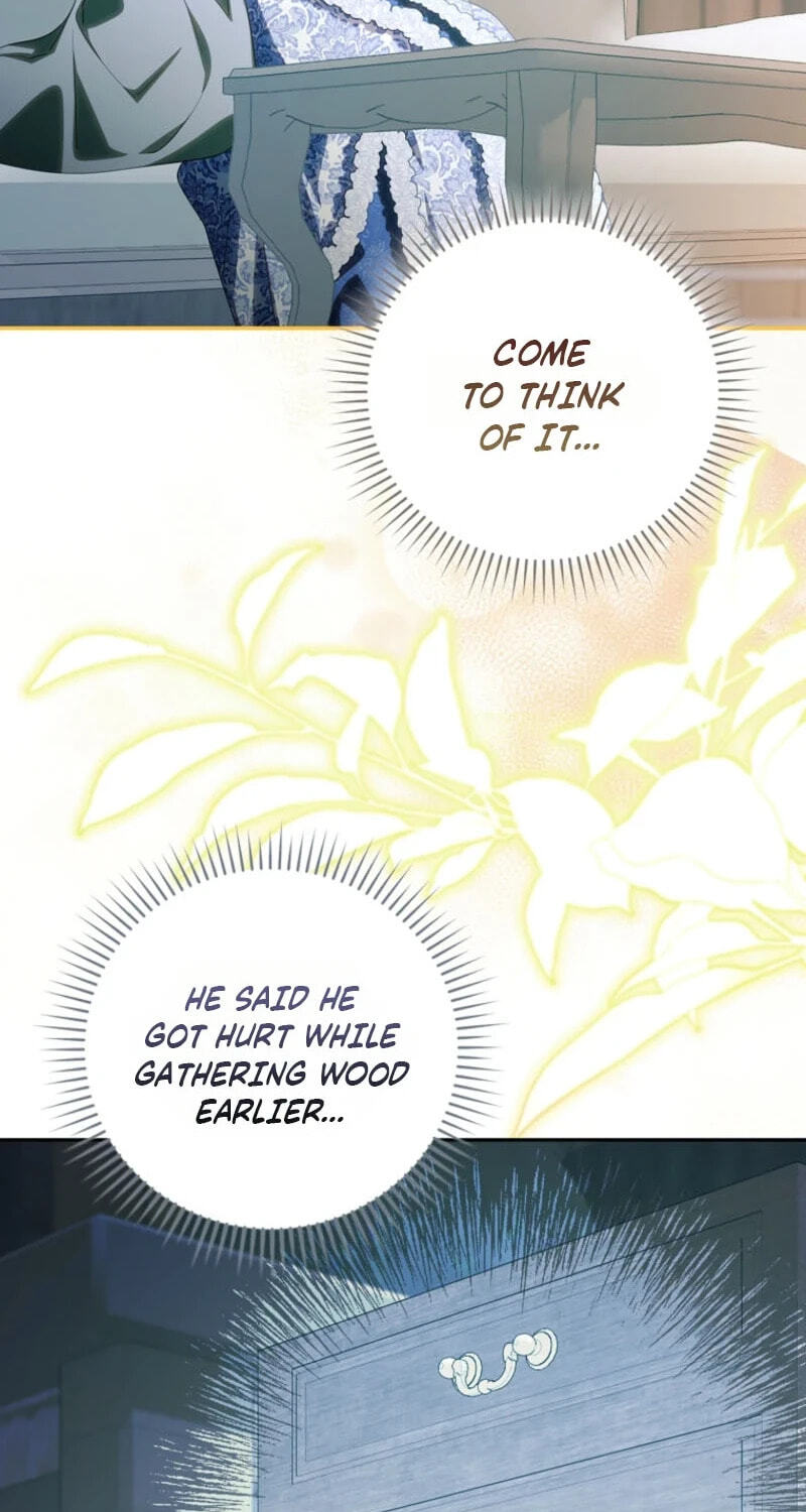 My Contract Husband Resembles the Male Protagonist Chapter 56 page 47 - 