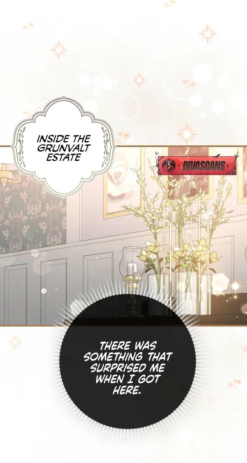 My Contract Husband Resembles the Male Protagonist Chapter 7 page 19 - 