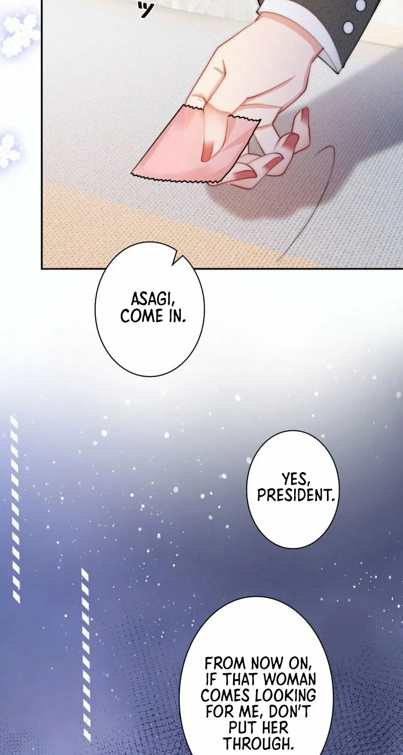 My Contract Lover Boss Is Doting on Me Chapter 1 page 19 - 
