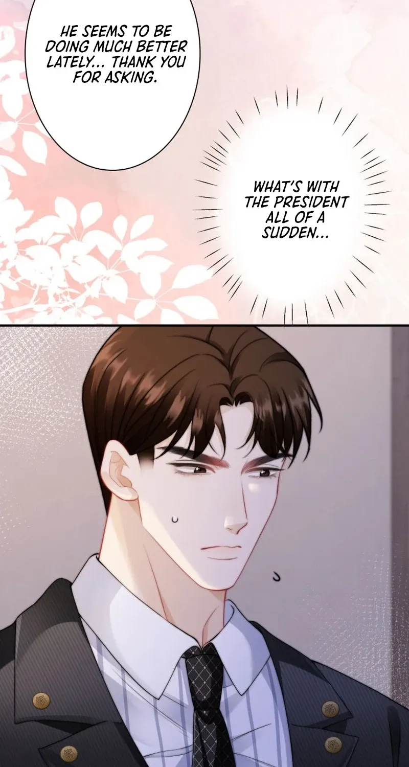 My Contract Lover Boss Is Doting on Me Chapter 11 page 48 - 