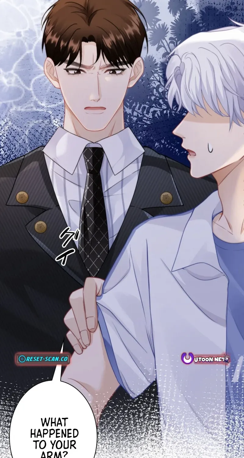 My Contract Lover Boss Is Doting on Me Chapter 12 page 72 - 
