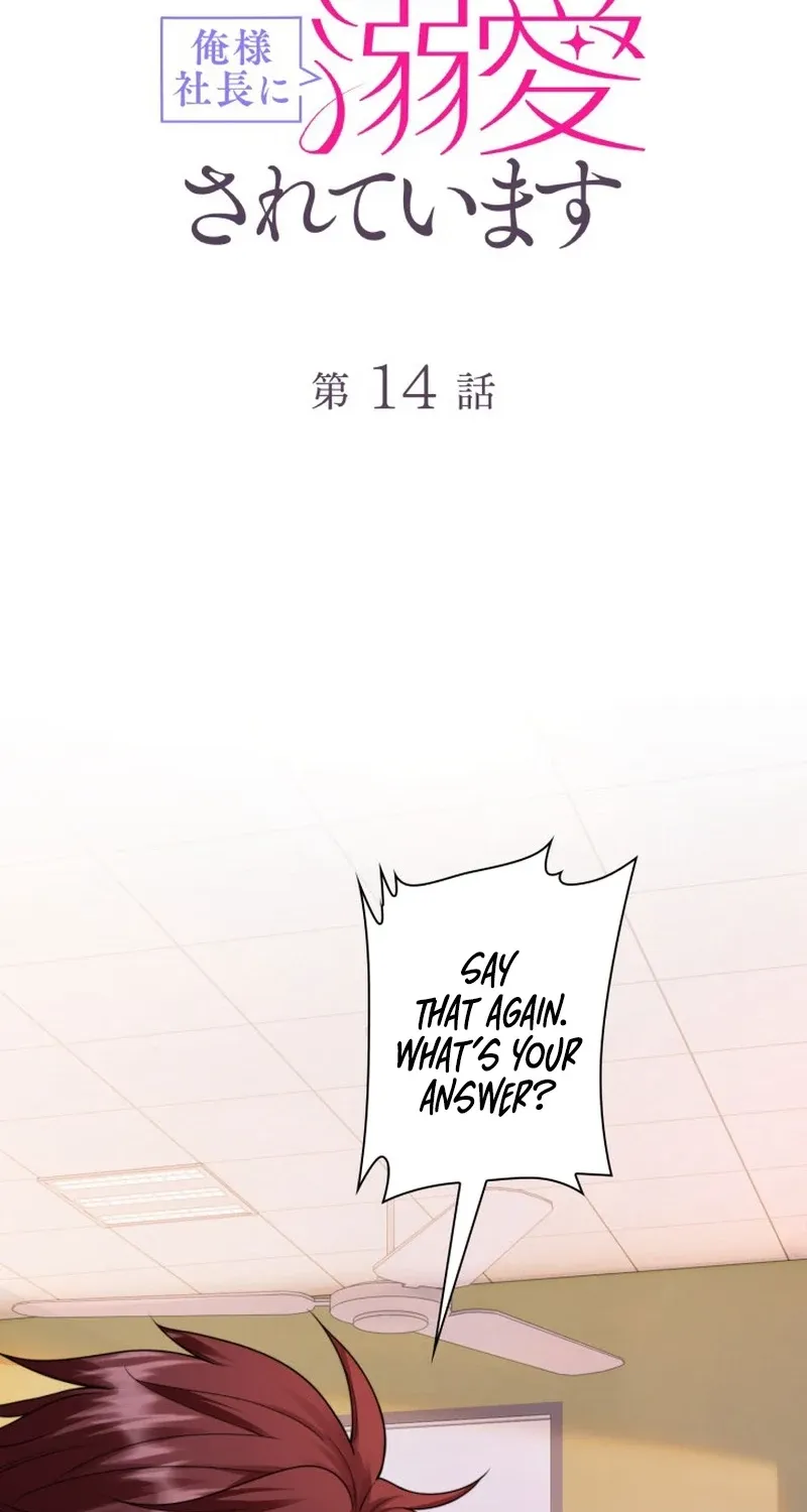 My Contract Lover Boss Is Doting on Me Chapter 14 page 2 - 