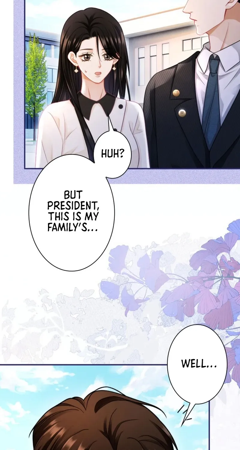 My Contract Lover Boss Is Doting on Me Chapter 14 page 33 - 