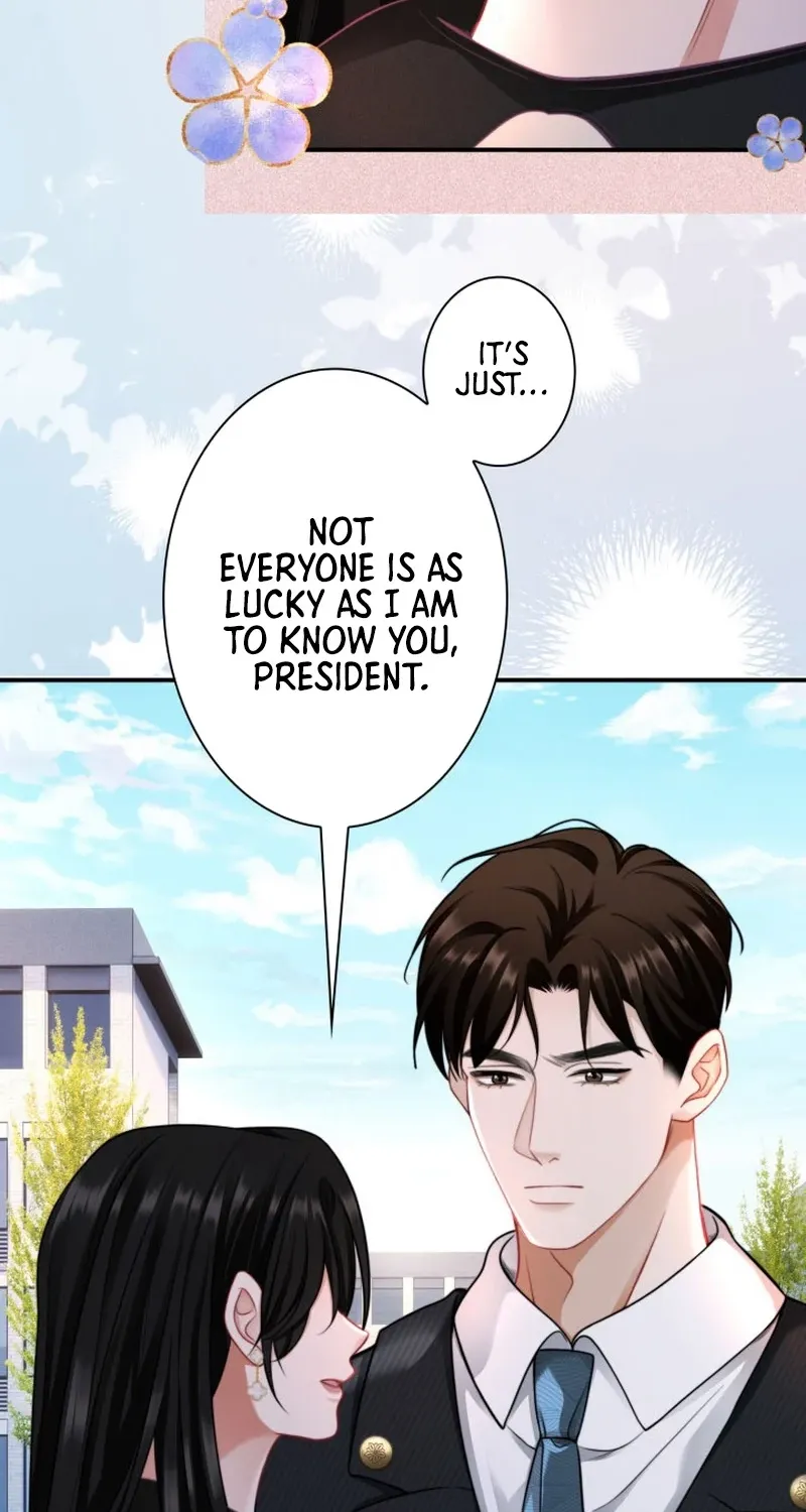 My Contract Lover Boss Is Doting on Me Chapter 14 page 39 - 
