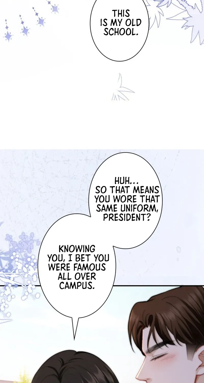 My Contract Lover Boss Is Doting on Me Chapter 14 page 57 - 