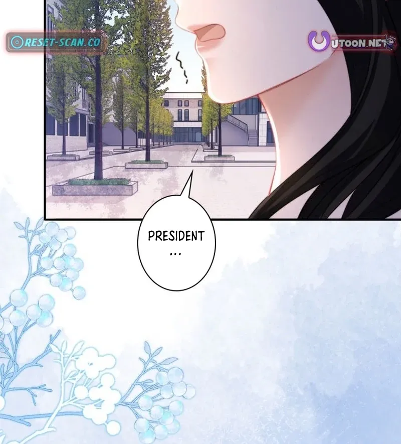 My Contract Lover Boss Is Doting on Me Chapter 15 page 65 - 