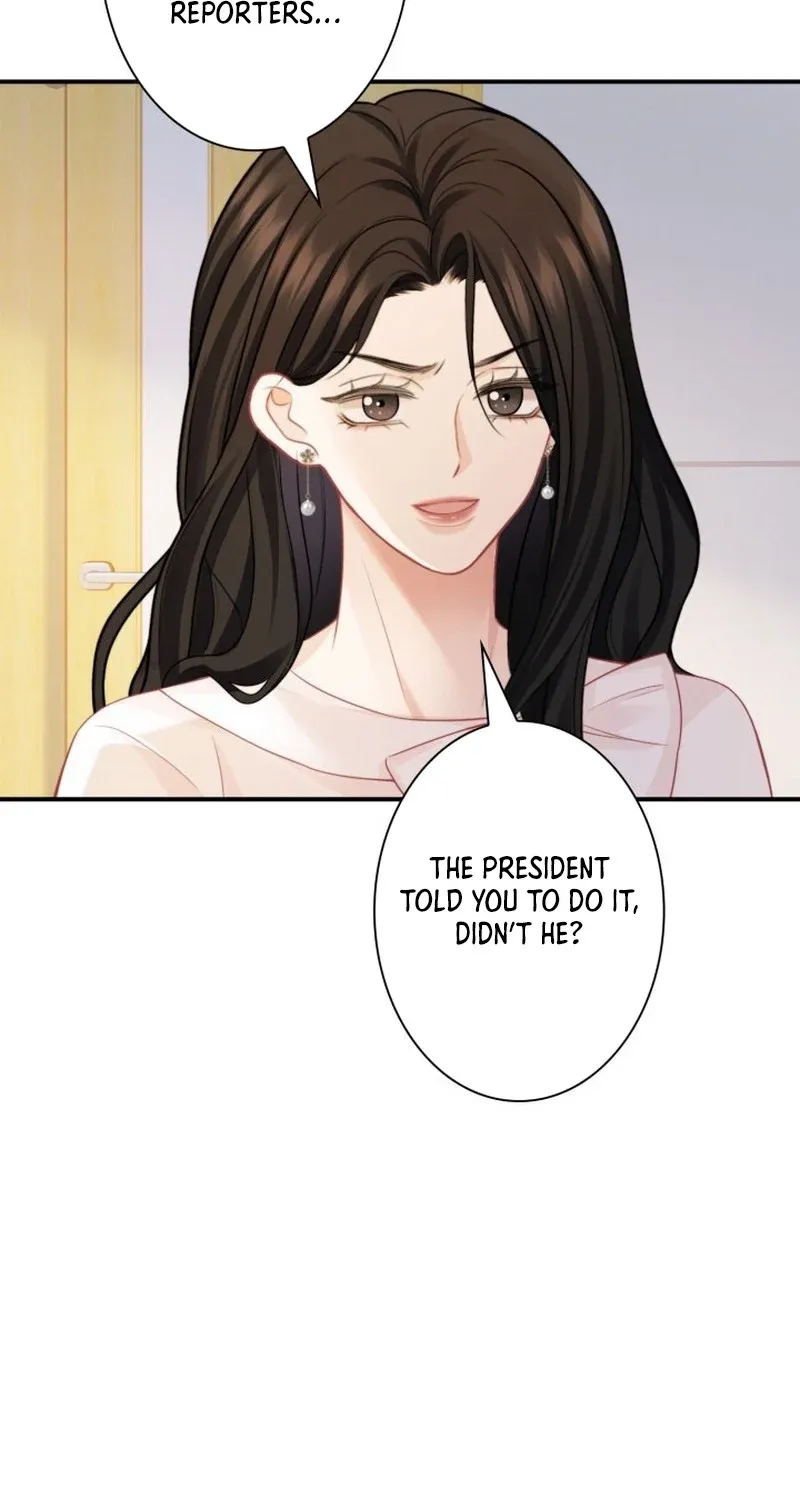 My Contract Lover Boss Is Doting on Me Chapter 16 page 25 - 