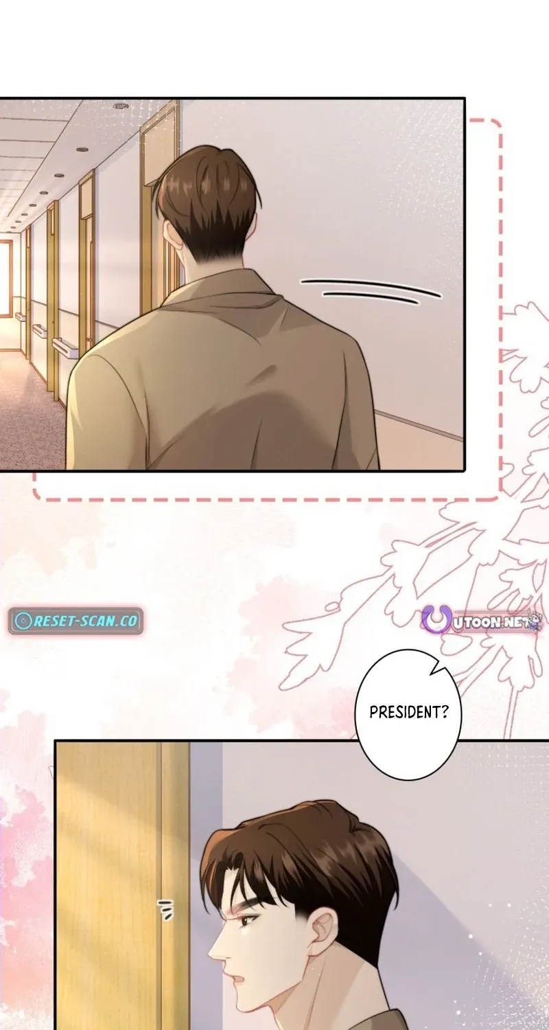 My Contract Lover Boss Is Doting on Me Chapter 16 page 43 - 