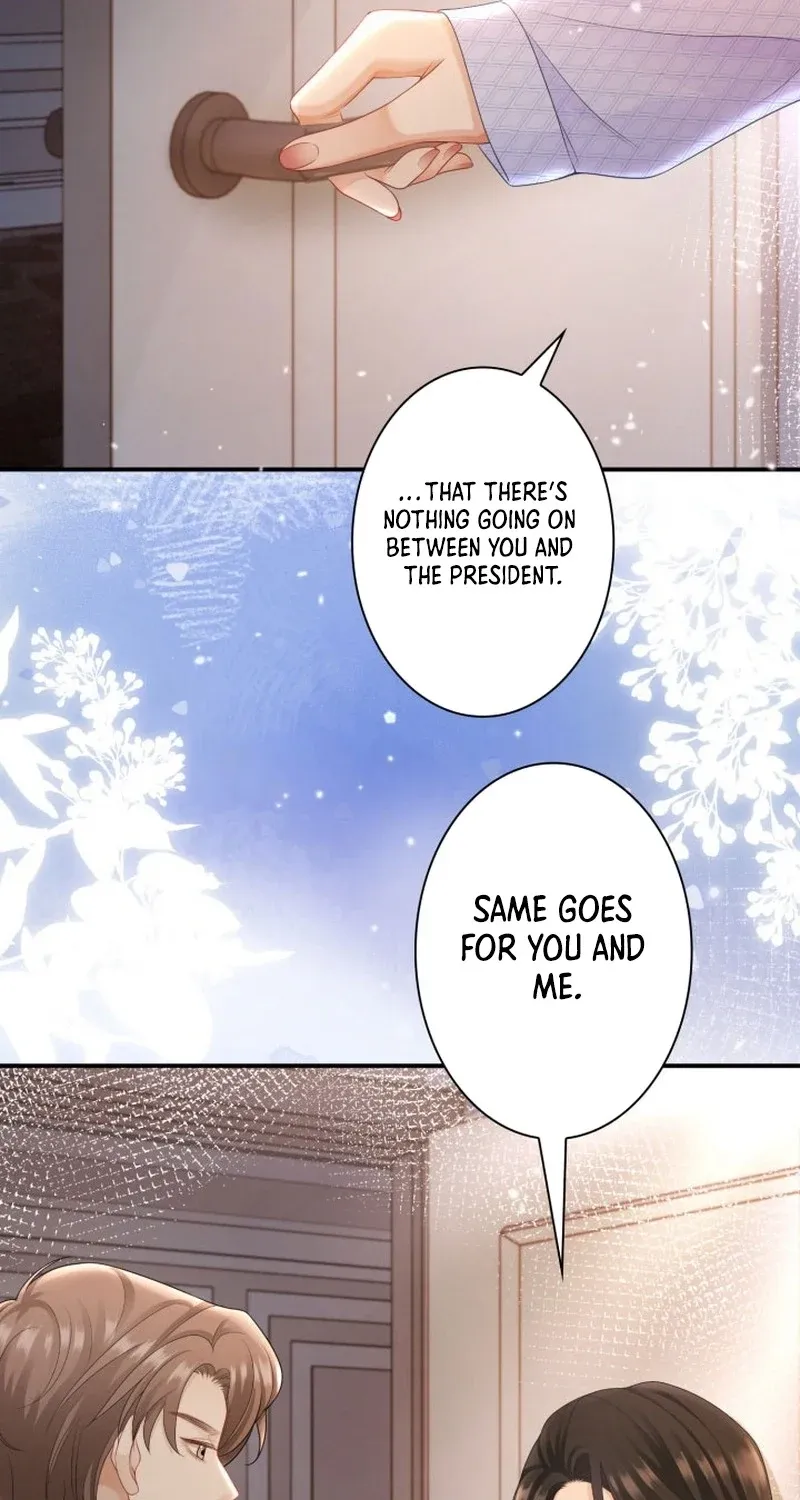 My Contract Lover Boss Is Doting on Me Chapter 18 page 36 - 