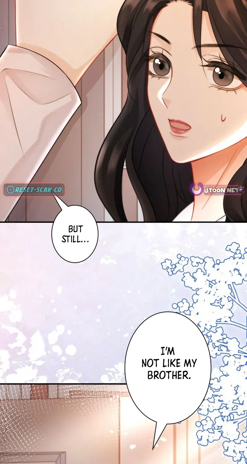 My Contract Lover Boss Is Doting on Me Chapter 18 page 40 - 