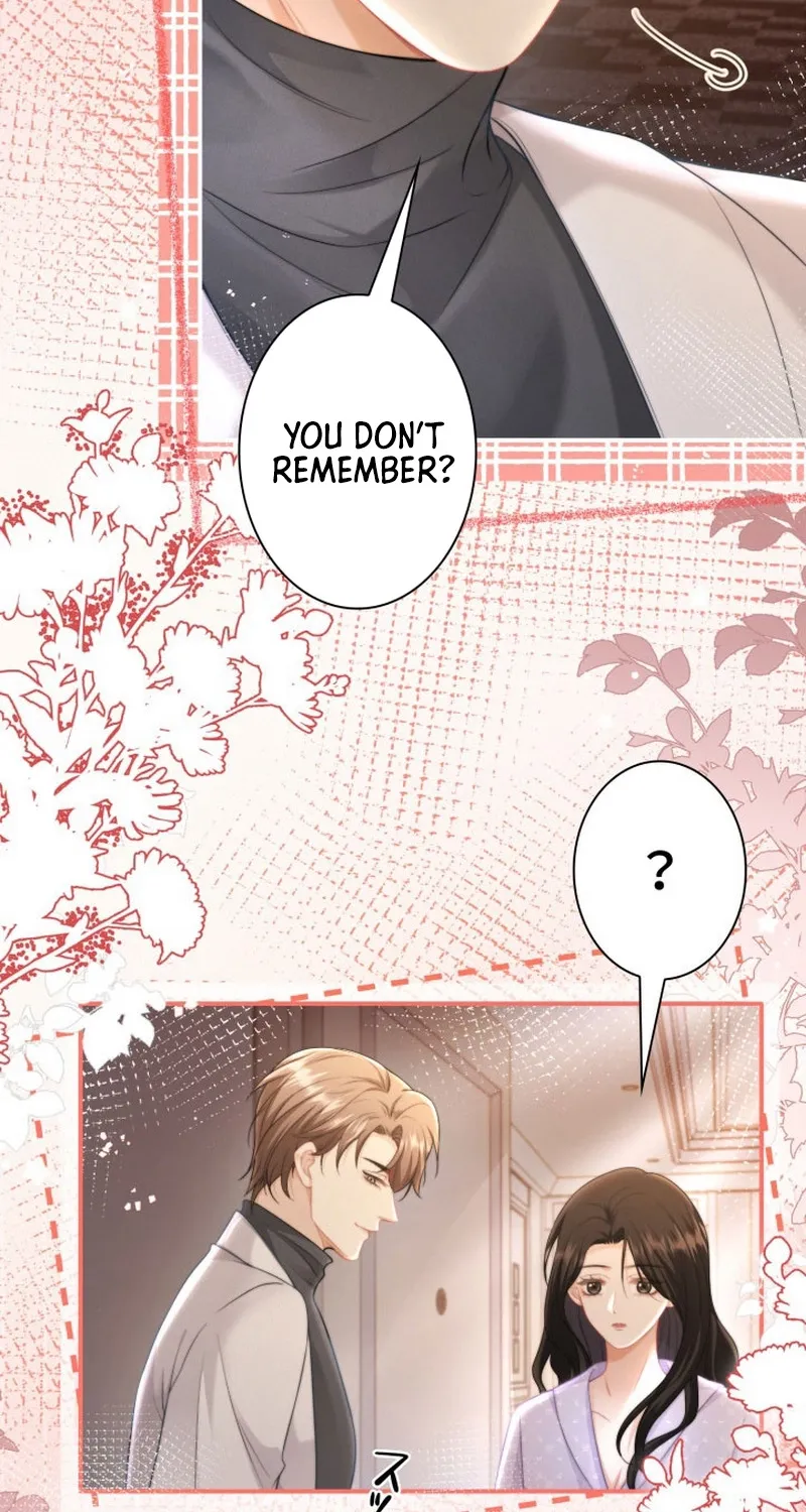 My Contract Lover Boss Is Doting on Me Chapter 19 page 12 - 