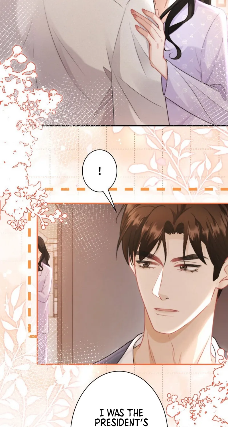 My Contract Lover Boss Is Doting on Me Chapter 19 page 4 - 