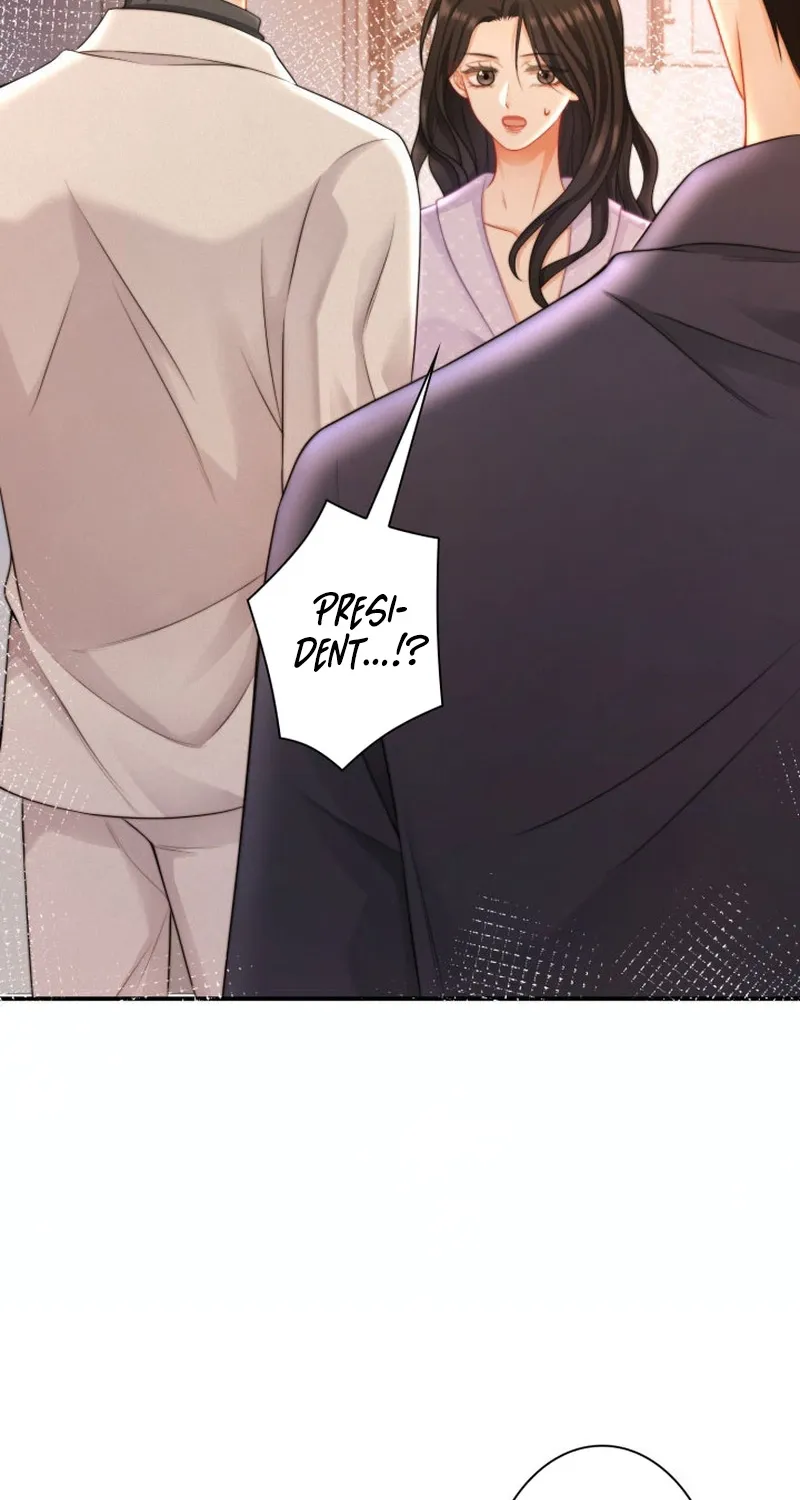 My Contract Lover Boss Is Doting on Me Chapter 19 page 36 - 