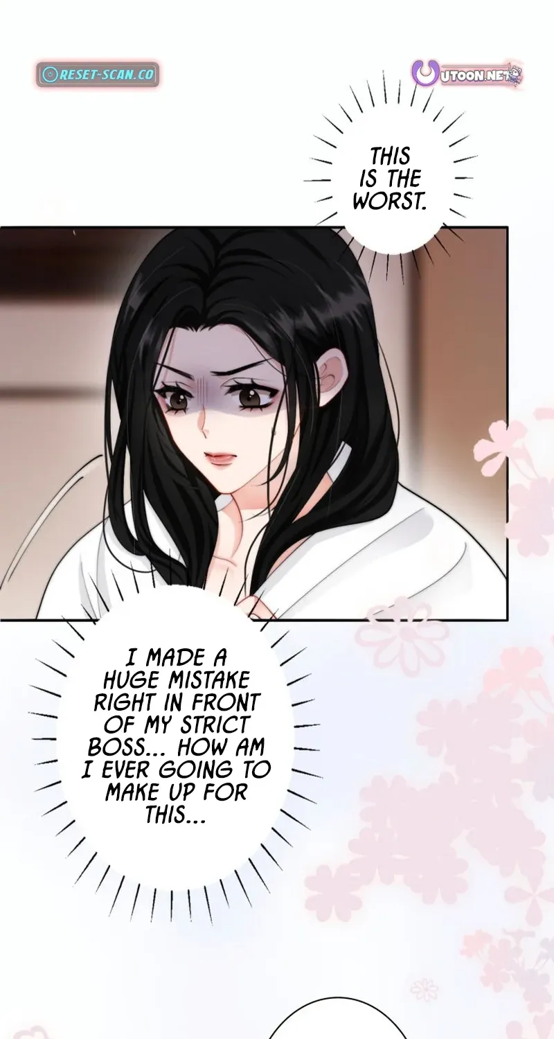 My Contract Lover Boss Is Doting on Me Chapter 2 page 15 - 