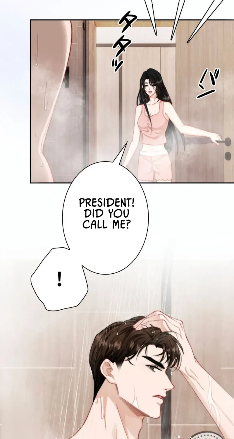 My Contract Lover Boss Is Doting on Me Chapter 2 page 17 - 
