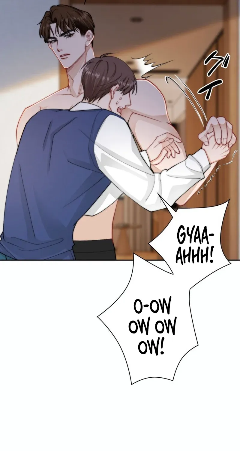 My Contract Lover Boss Is Doting on Me Chapter 2 page 44 - 