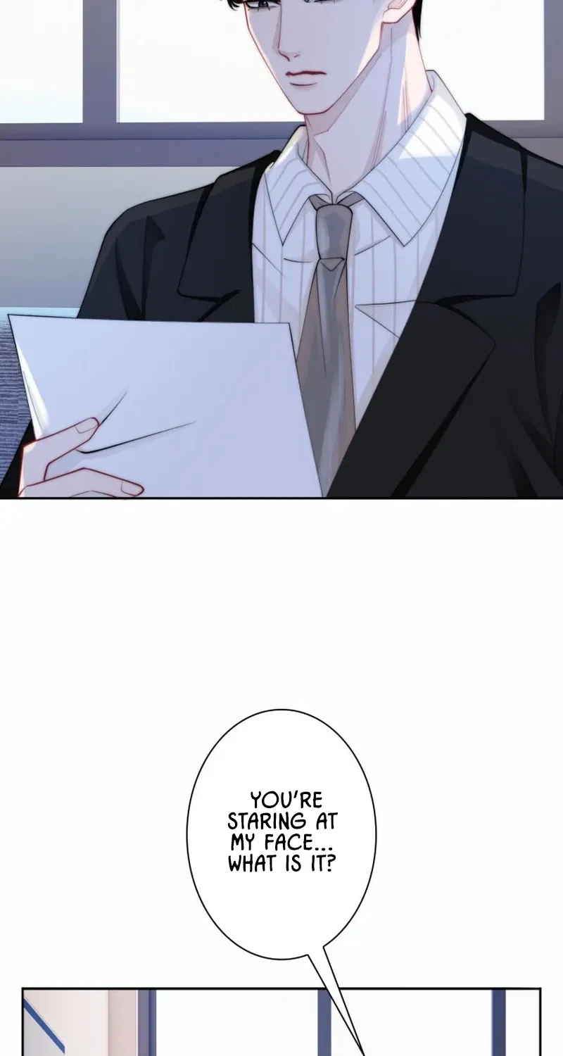 My Contract Lover Boss Is Doting on Me Chapter 2 page 55 - 