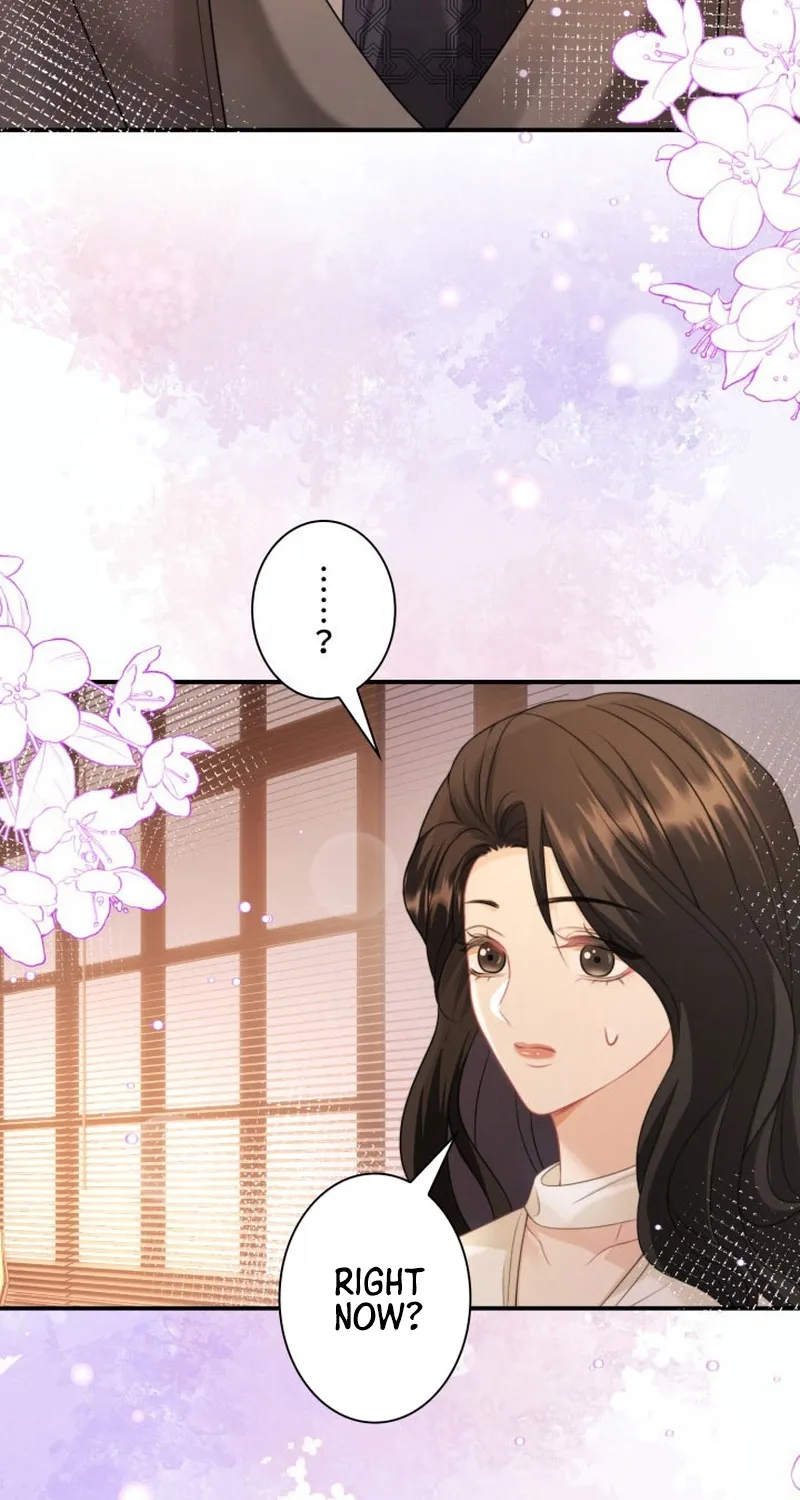 My Contract Lover Boss Is Doting on Me Chapter 20 page 12 - 