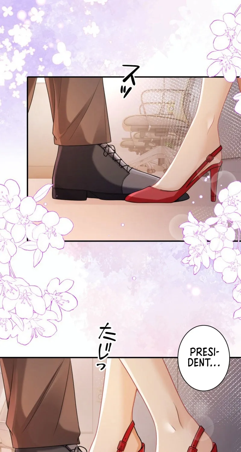 My Contract Lover Boss Is Doting on Me Chapter 20 page 13 - 