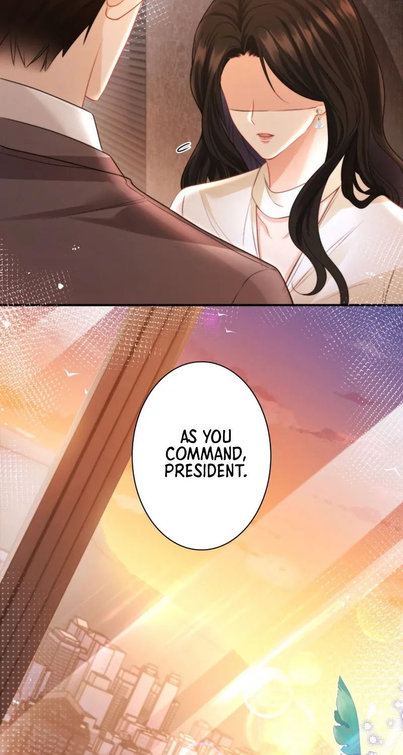My Contract Lover Boss Is Doting on Me Chapter 20 page 25 - 