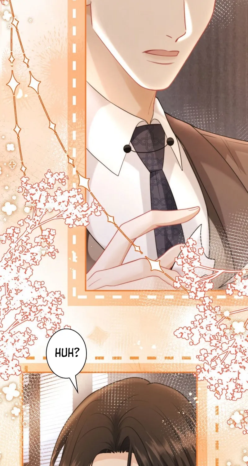 My Contract Lover Boss Is Doting on Me Chapter 20 page 4 - 