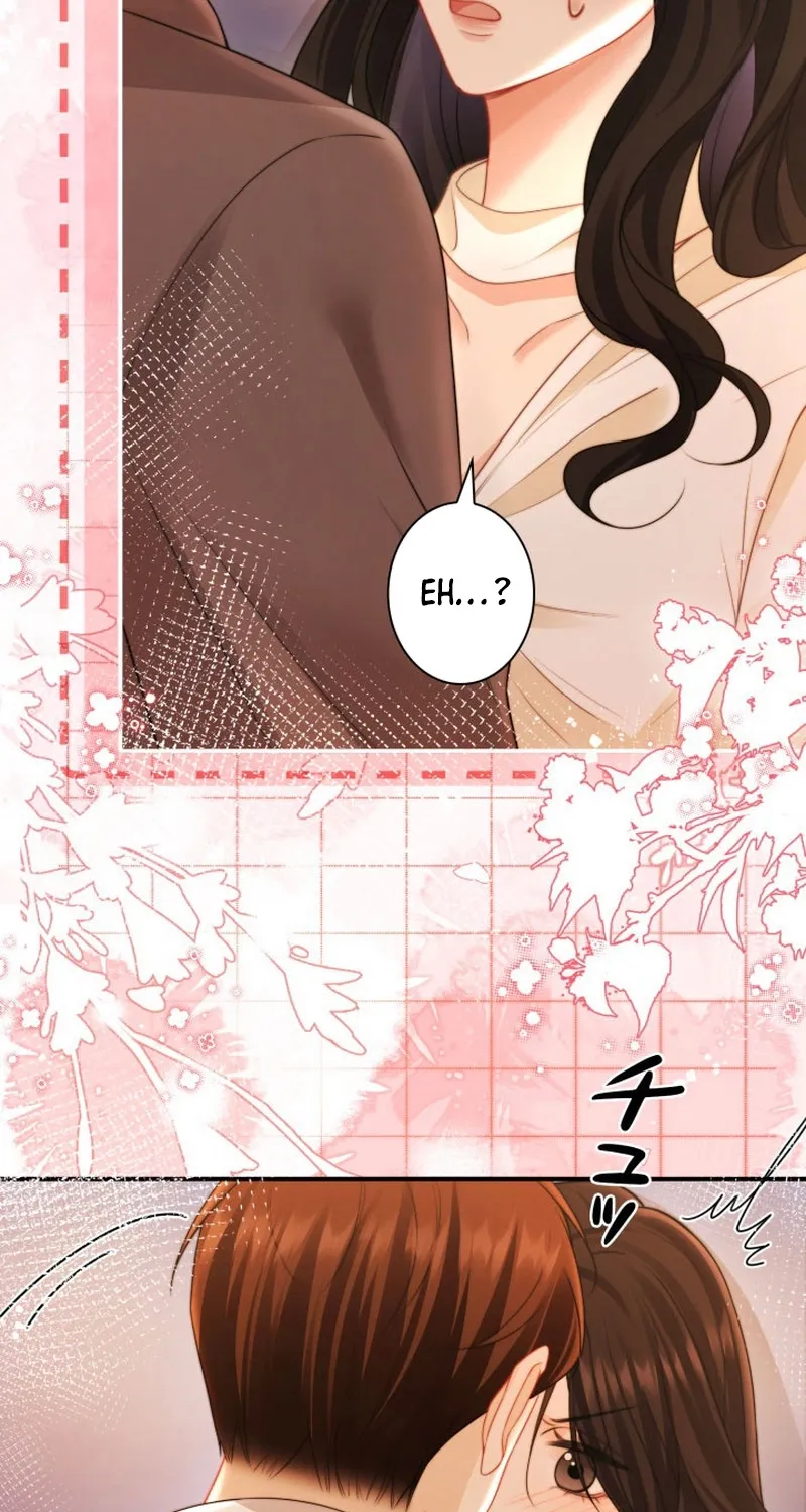 My Contract Lover Boss Is Doting on Me Chapter 20 page 41 - 