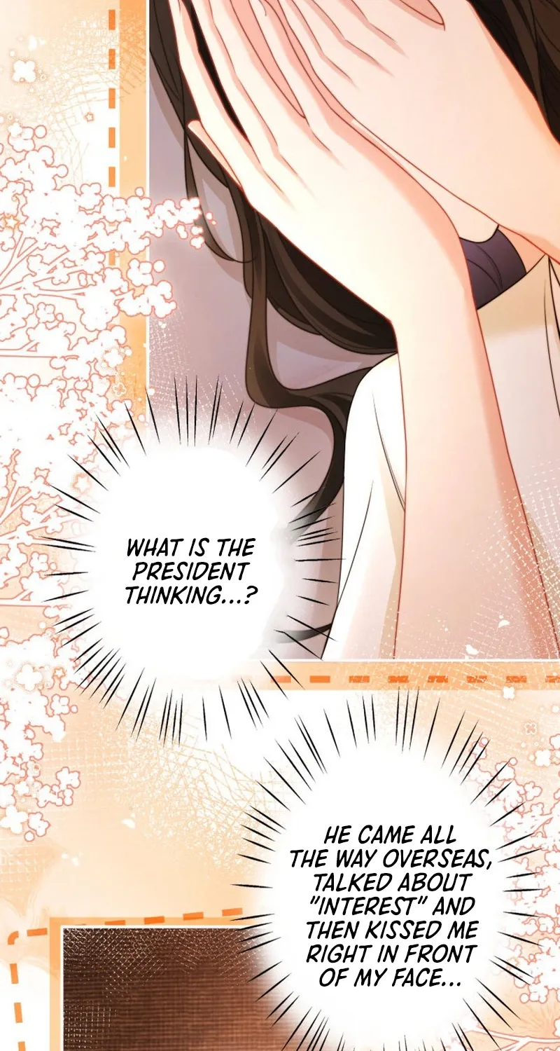 My Contract Lover Boss Is Doting on Me Chapter 20 page 44 - 