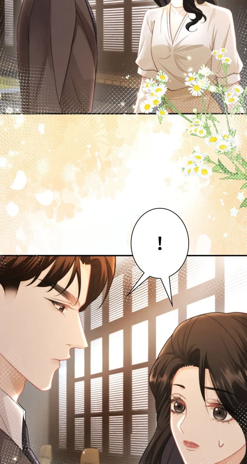 My Contract Lover Boss Is Doting on Me Chapter 20 page 7 - 