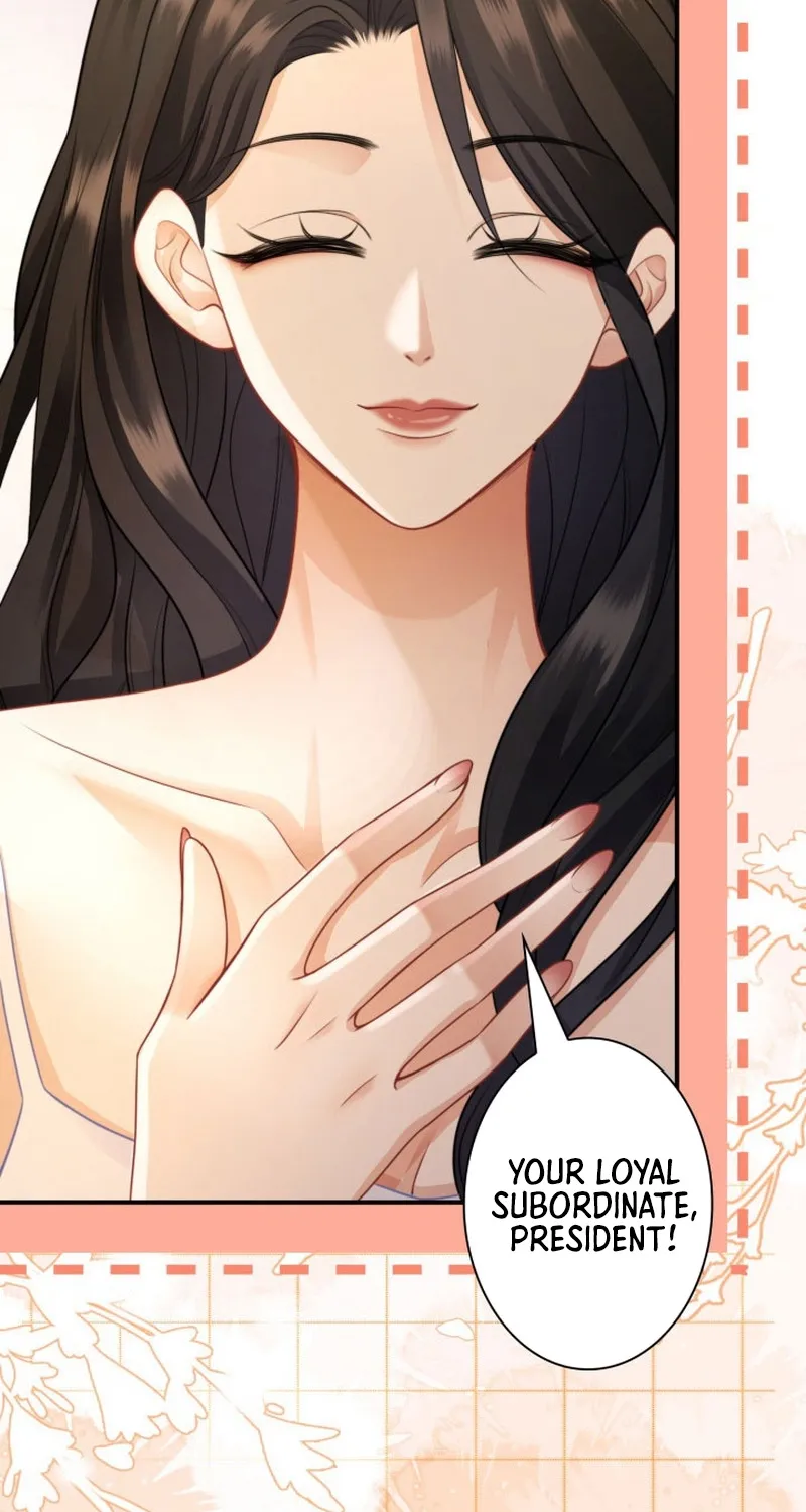 My Contract Lover Boss Is Doting on Me Chapter 20 page 65 - 