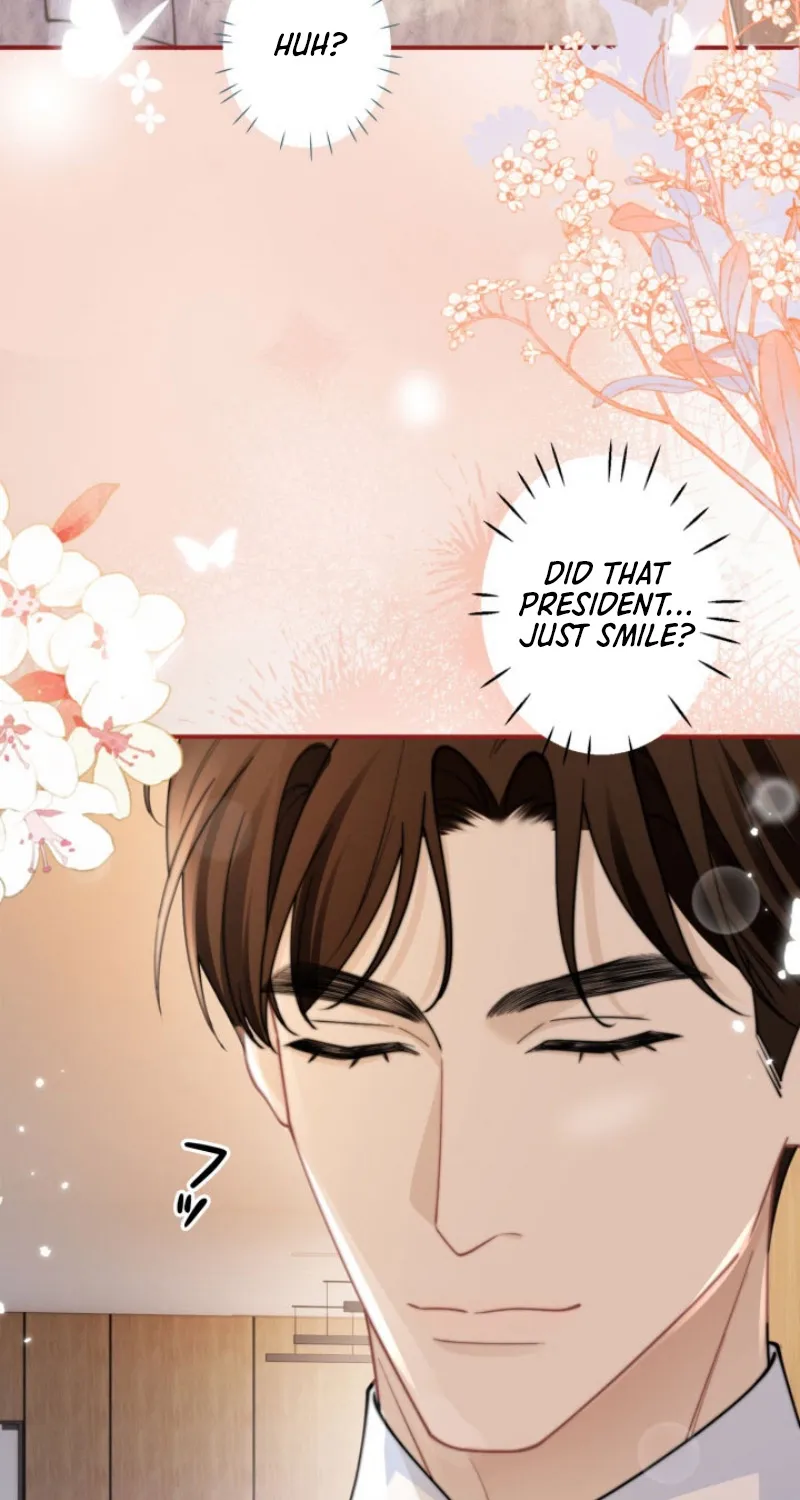 My Contract Lover Boss Is Doting on Me Chapter 21 page 67 - 