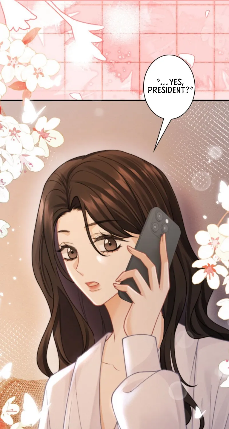 My Contract Lover Boss Is Doting on Me Chapter 21 page 81 - 