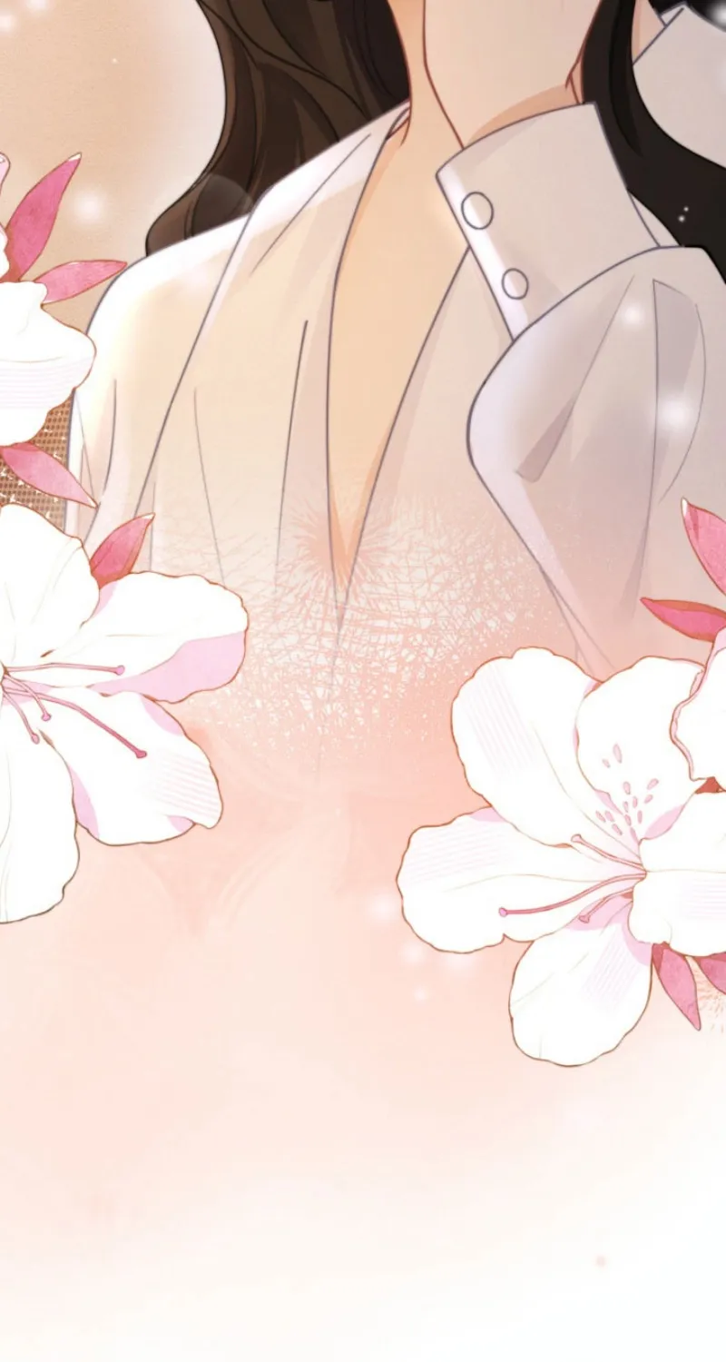 My Contract Lover Boss Is Doting on Me Chapter 21 page 84 - 