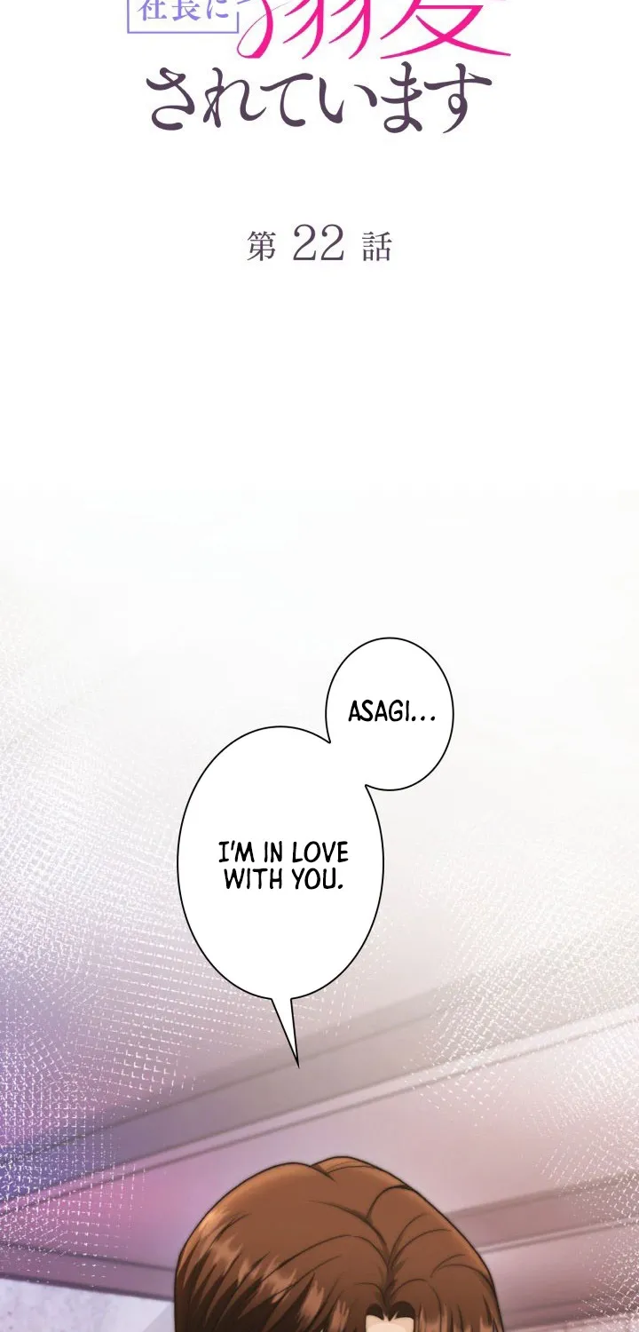 My Contract Lover Boss Is Doting on Me Chapter 22 page 2 - 