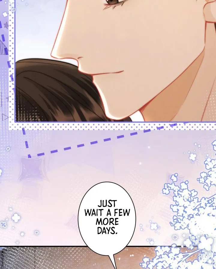 My Contract Lover Boss Is Doting on Me Chapter 23 page 12 - 