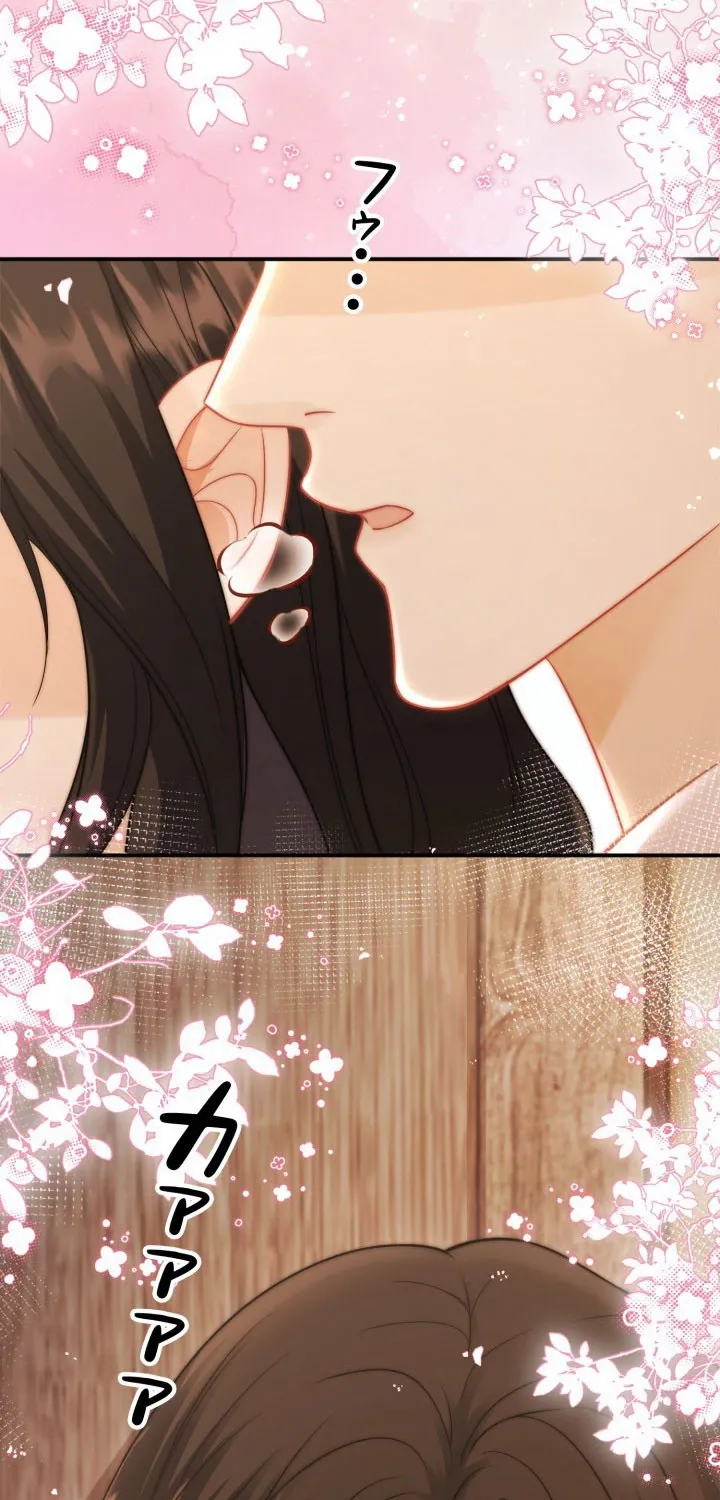 My Contract Lover Boss Is Doting on Me Chapter 24 page 27 - 
