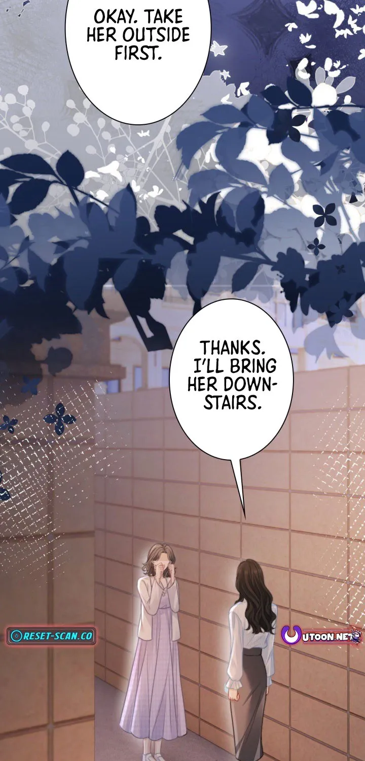 My Contract Lover Boss Is Doting on Me Chapter 24 page 55 - 