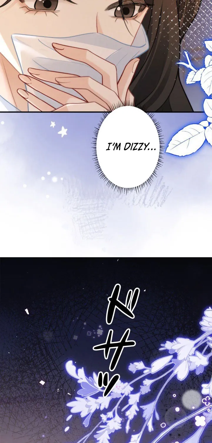 My Contract Lover Boss Is Doting on Me Chapter 24 page 64 - 
