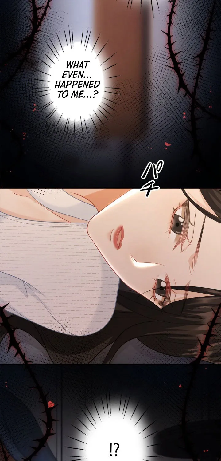 My Contract Lover Boss Is Doting on Me Chapter 25 page 3 - 