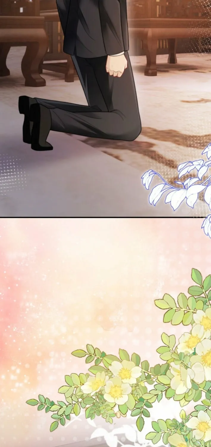 My Contract Lover Boss Is Doting on Me Chapter 27 page 11 - 