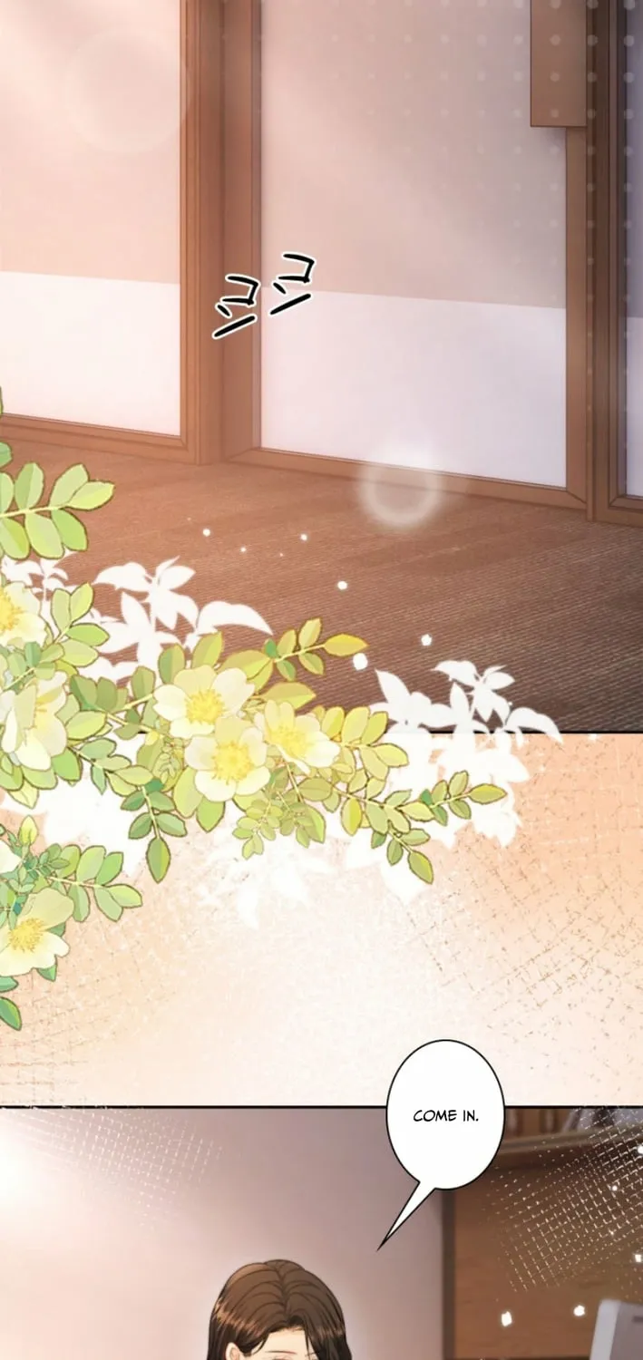 My Contract Lover Boss Is Doting on Me Chapter 27 page 13 - 
