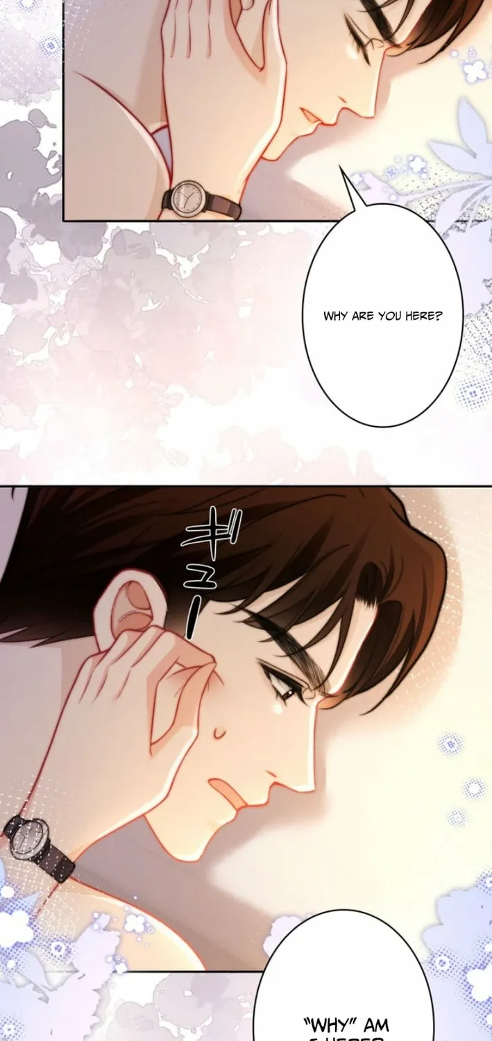 My Contract Lover Boss Is Doting on Me Chapter 27 page 45 - 