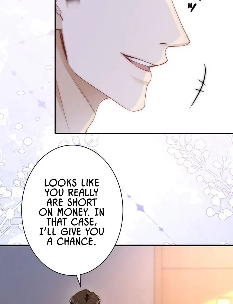 My Contract Lover Boss Is Doting on Me Chapter 3 page 14 - 