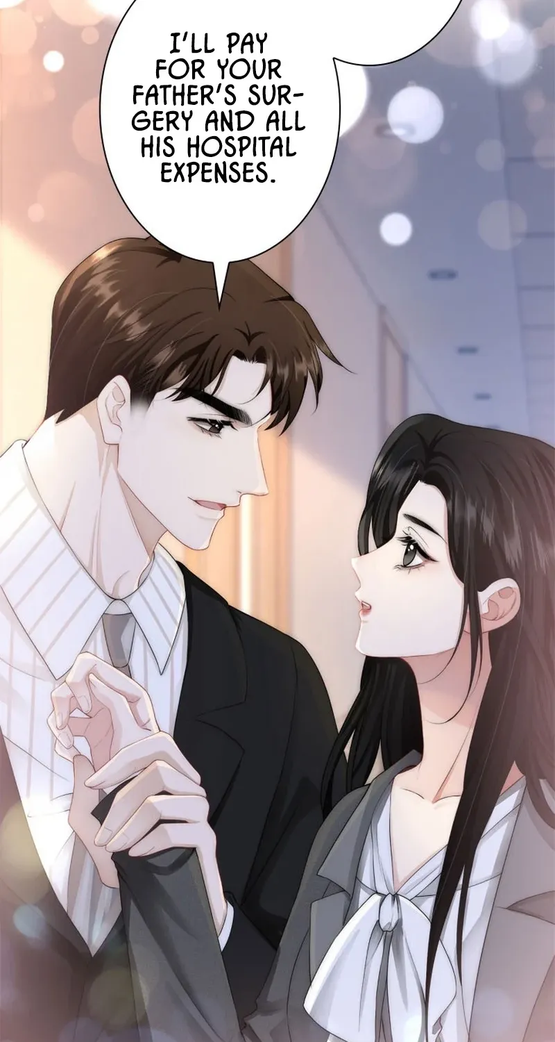 My Contract Lover Boss Is Doting on Me Chapter 3 page 16 - 